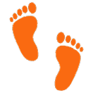 Footprint icon